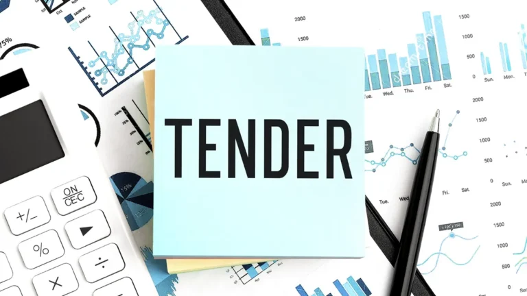 tender meaning in business