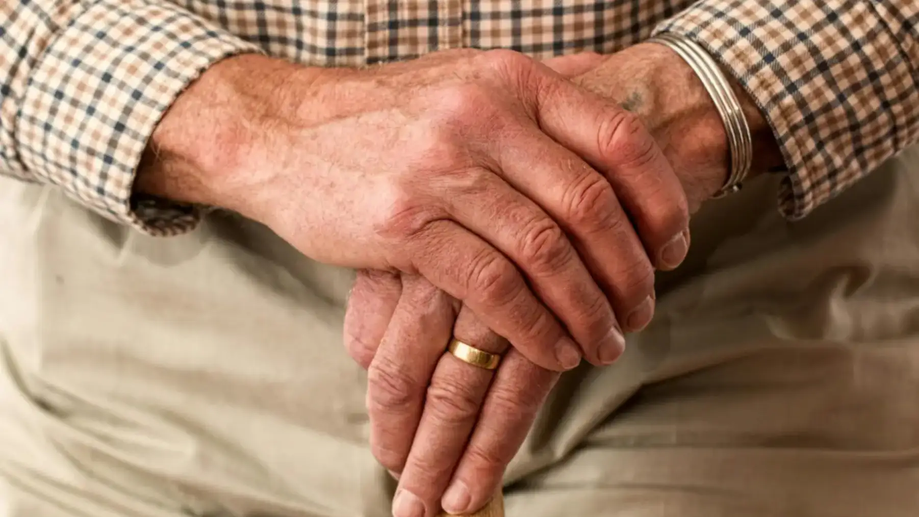 Senior Companion and Elder Support