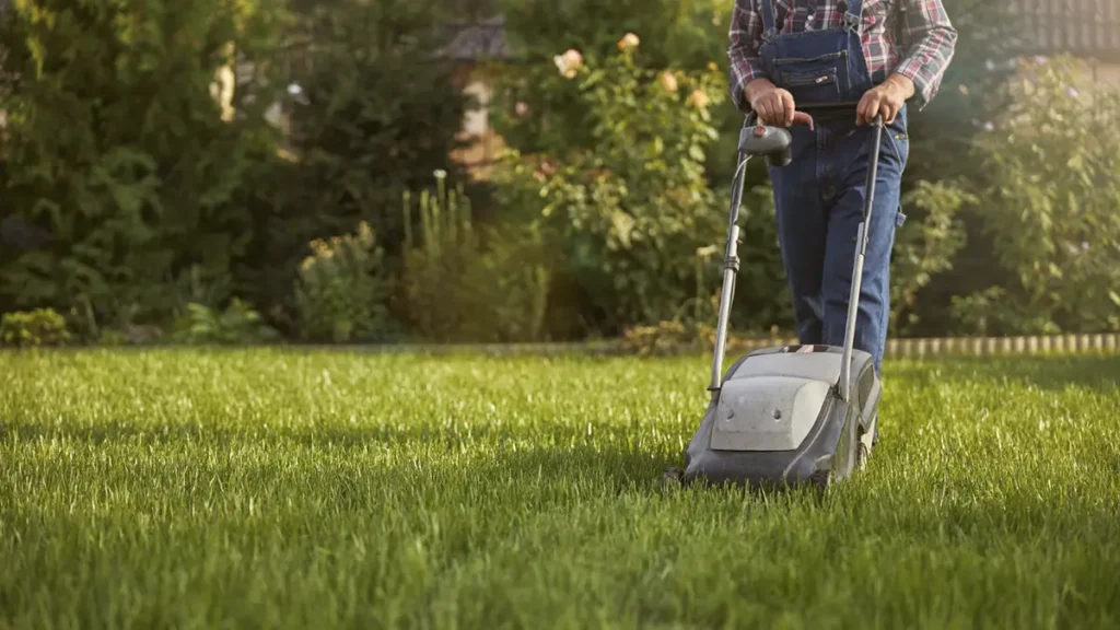 Landscaping and Lawn Care