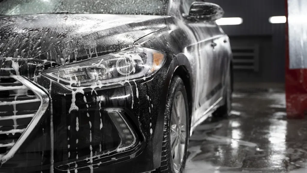 Mobile Car Wash business in Florida
